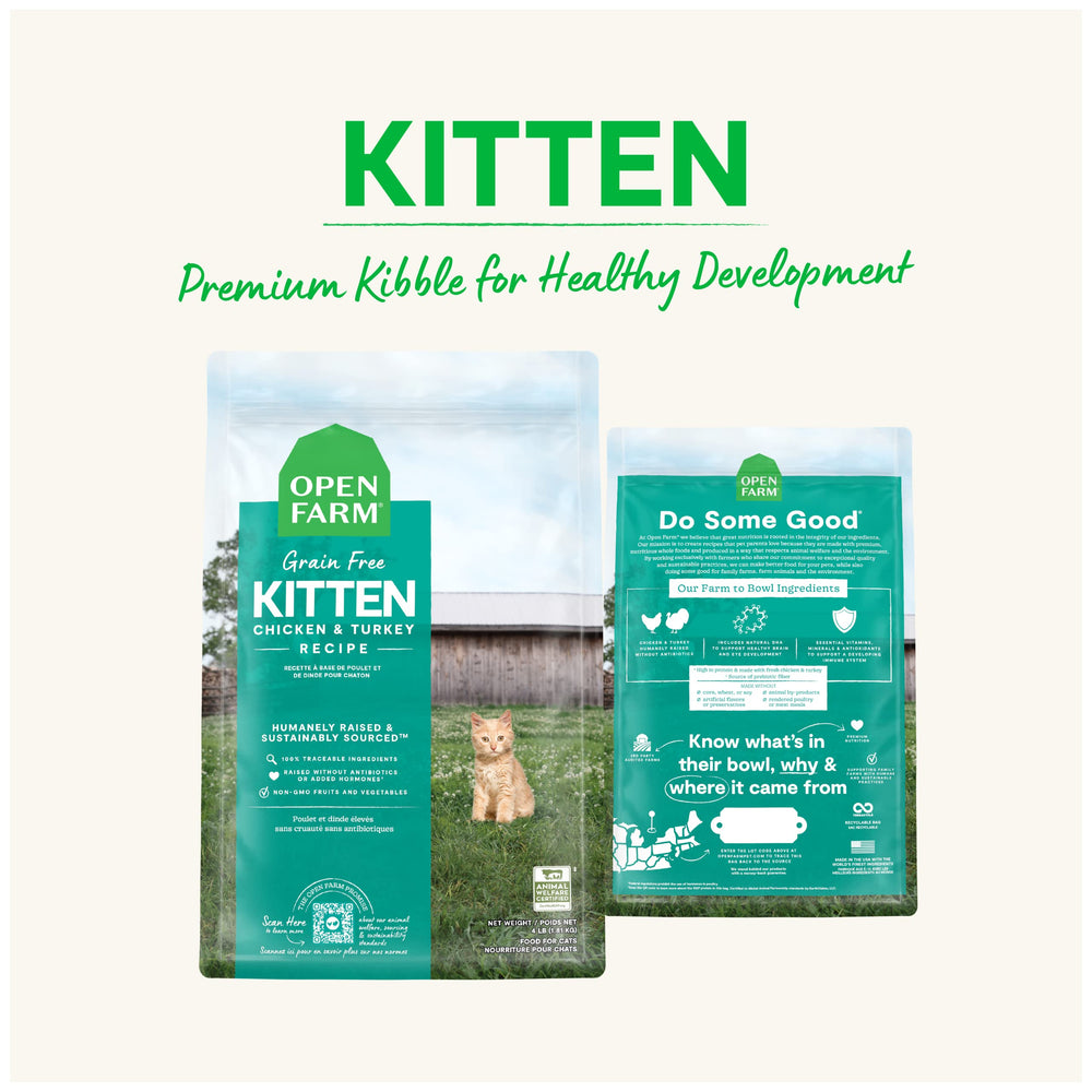 Open Farm kitten eating kibble showing appealing texture and taste