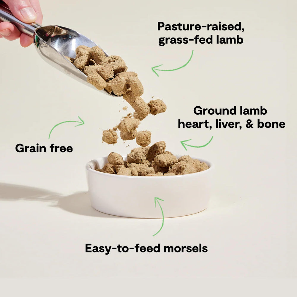 Open Farm morsels closeup meat texture for palatability.