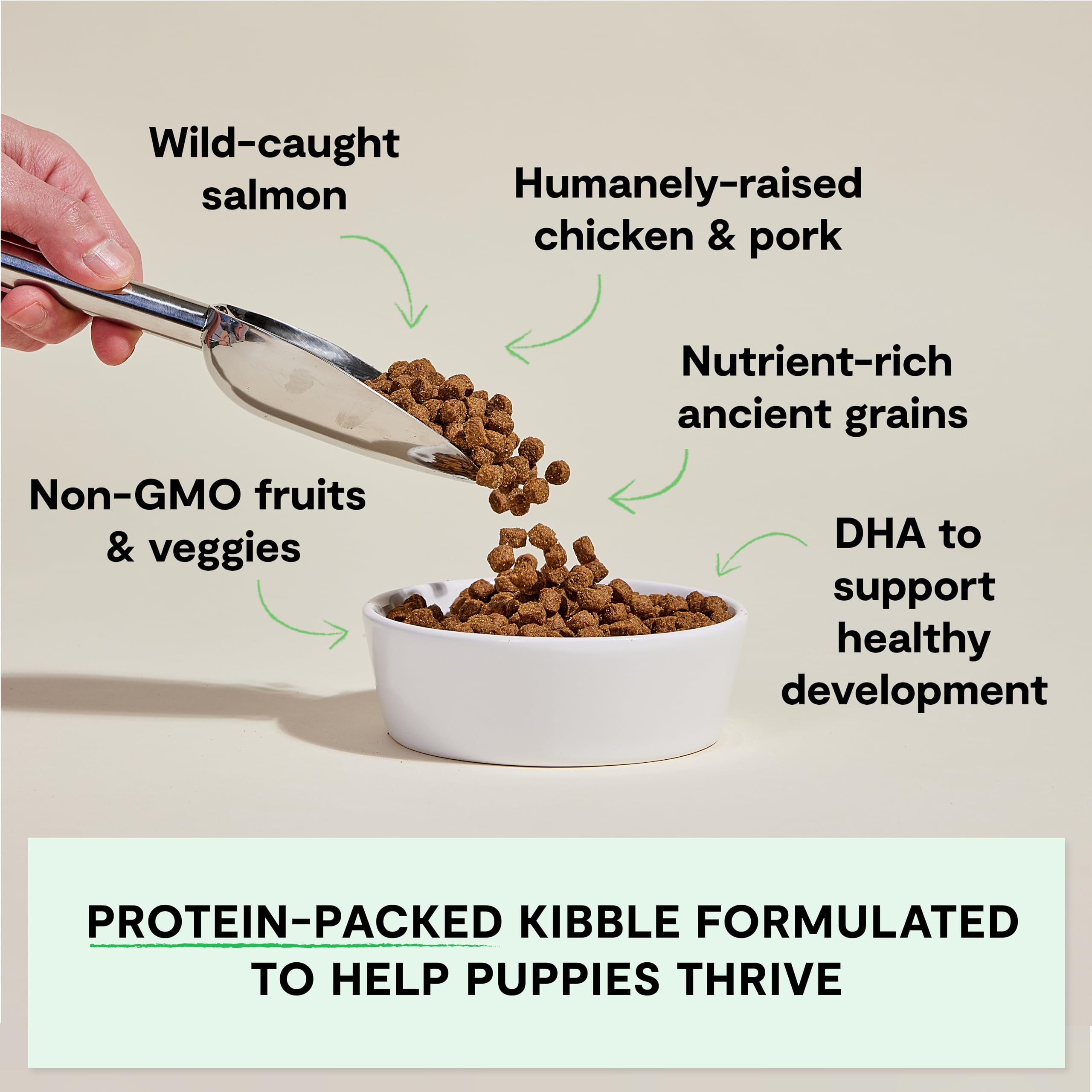 Open Farm non-GMO fruits and veggies featured subimage illustrating wholesome, traceable ingredients.