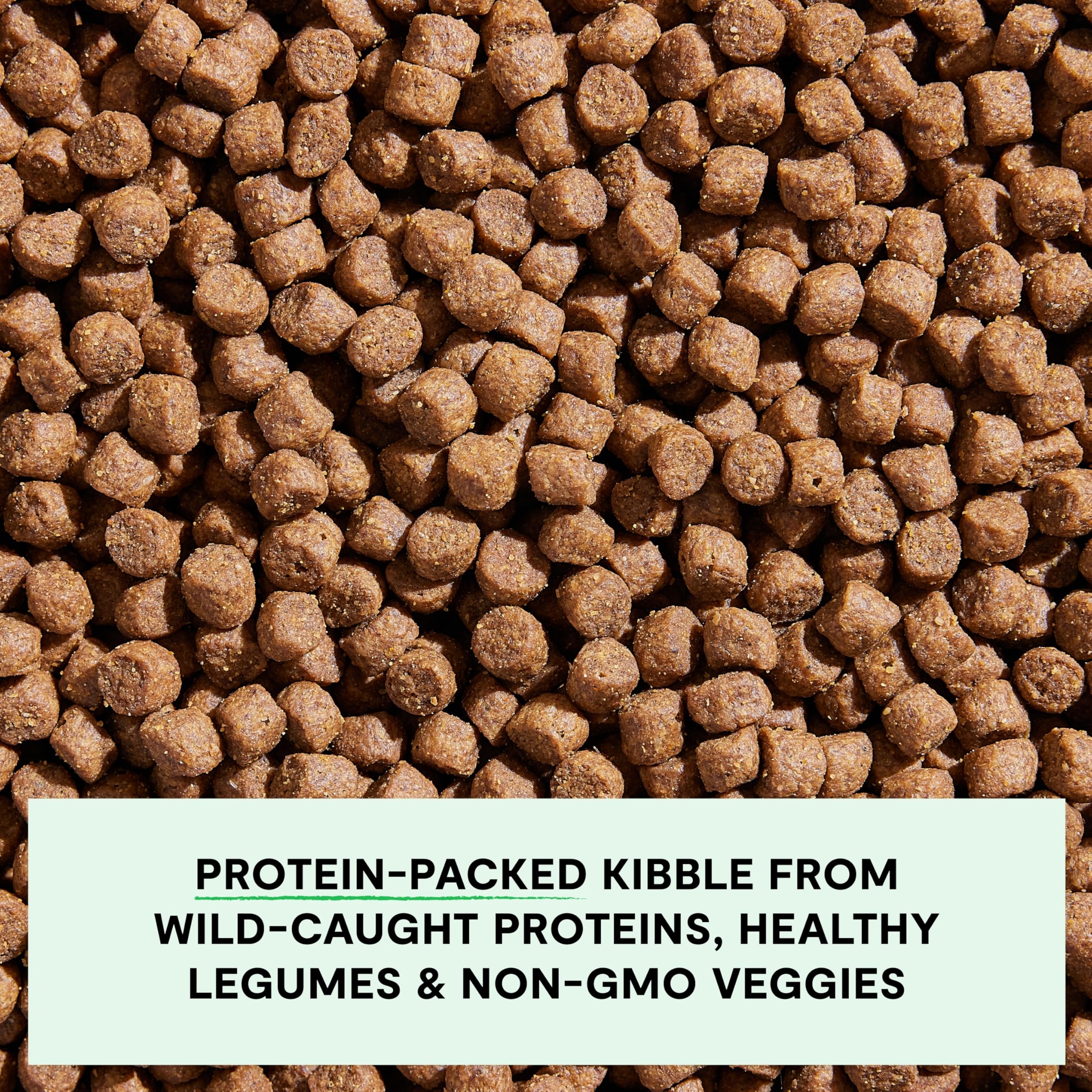 Open Farm non-GMO veggies like pumpkin and coconut oil illustrate wholesome superfoods nourishing coat and energy.
