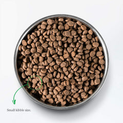 Open Farm Ocean Wise recommendation label signals antibiotic-free pet nutrition.