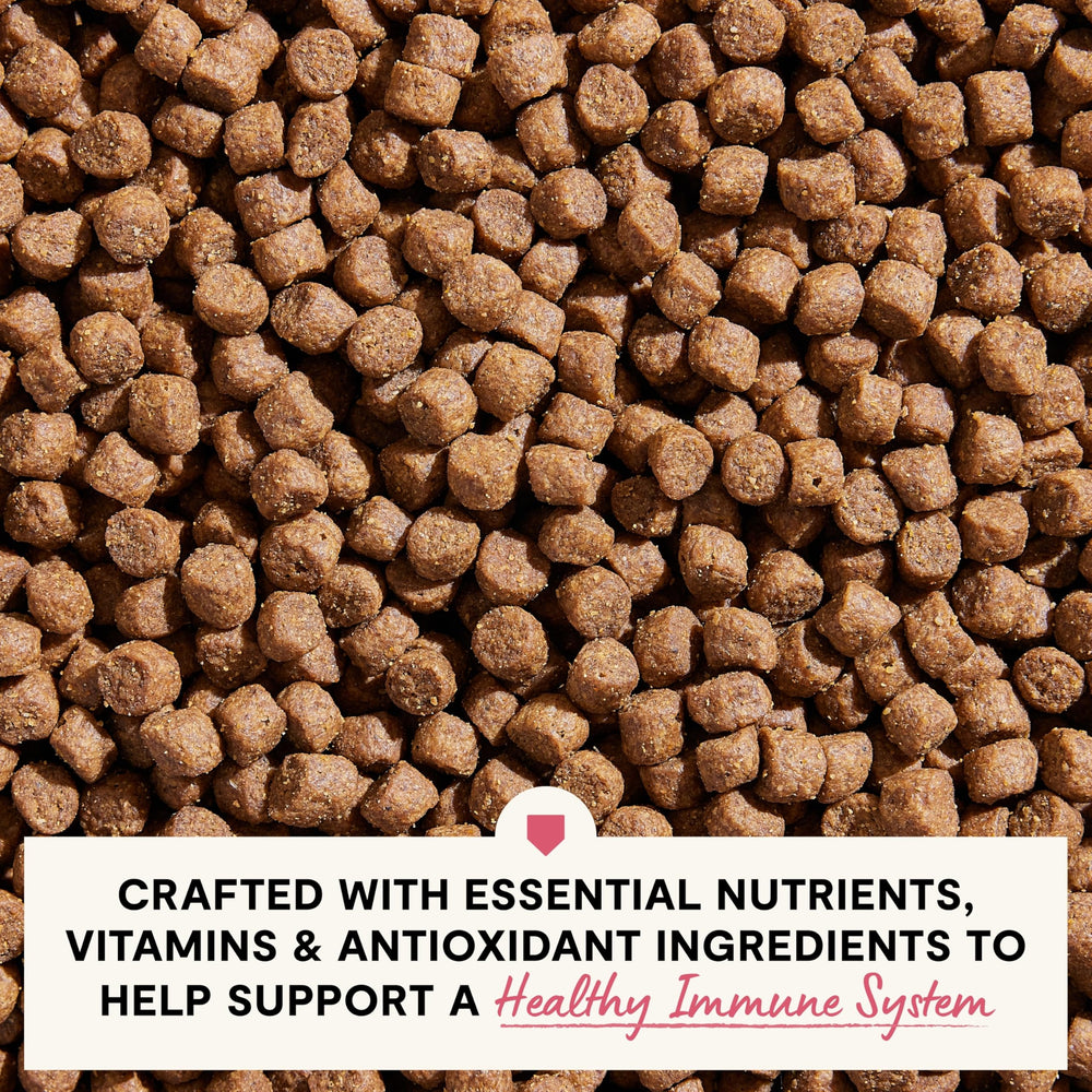 Open Farm flaxseed-rich formula highlights healthy skin texture and resilience.