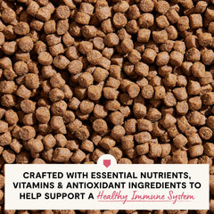 Open Farm flaxseed-rich formula highlights healthy skin texture and resilience.