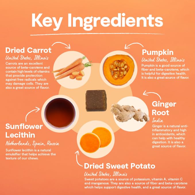 Open Farm Probiotic Chews digestion closeup highlights tasty texture for easy giving.