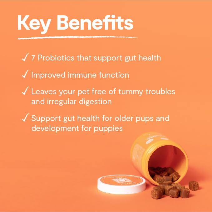 Open Farm Probiotic Chews ingredients traceable shot demonstrates vet-approved, high-quality sourcing.