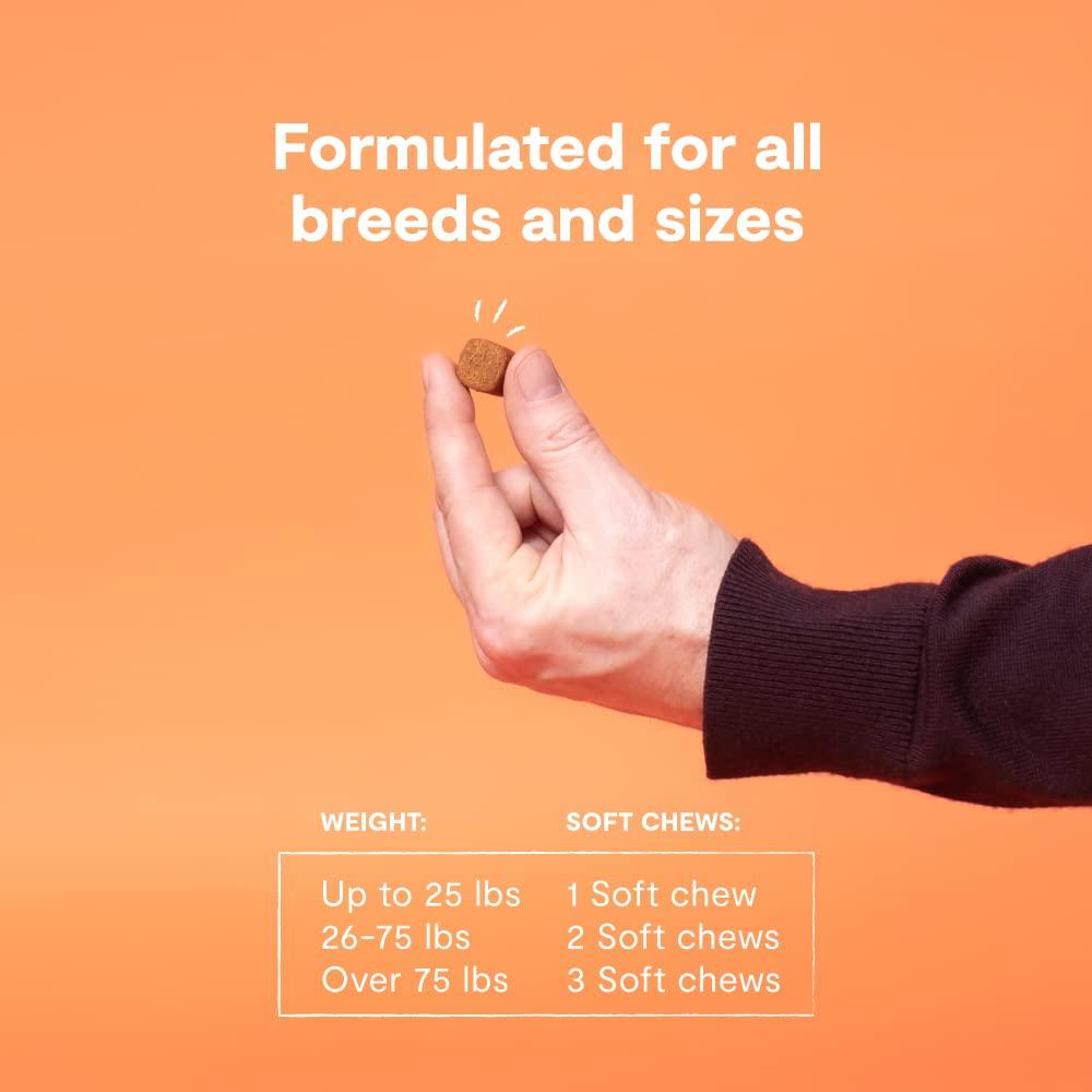 Open Farm Probiotic Chews pet health scene emphasizes immune-friendly gut flora support.