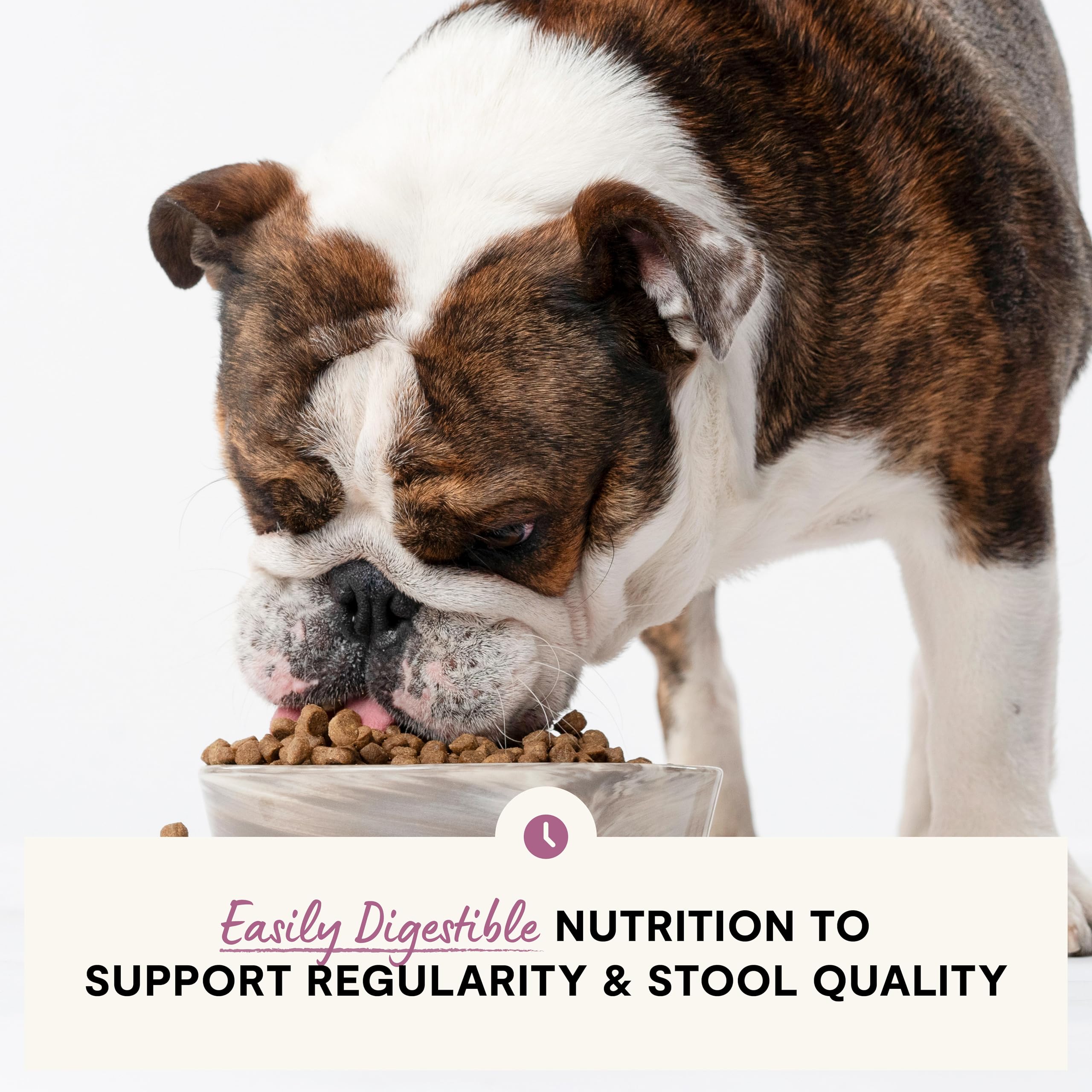 Open Farm probiotics and prebiotics plus postbiotics support gut health and nutrient absorption.