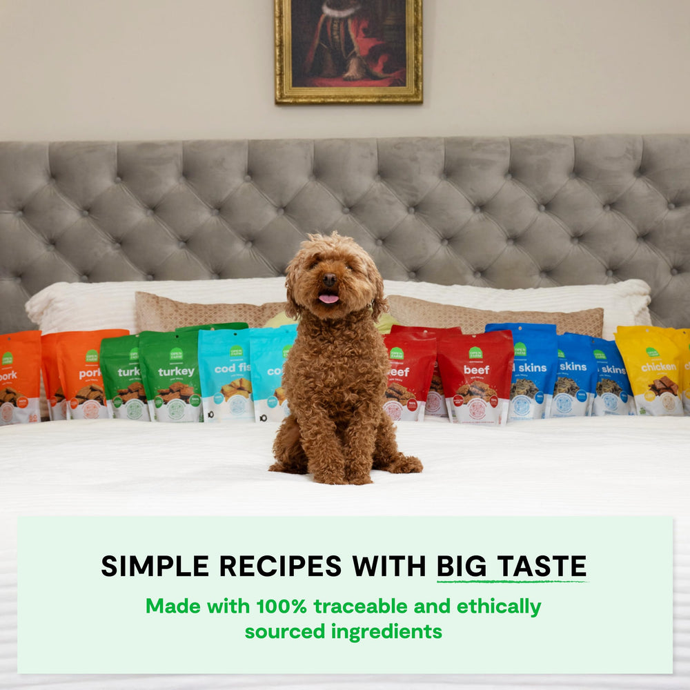 Open Farm proteína alta, bajo carbohidratos para perros activos
