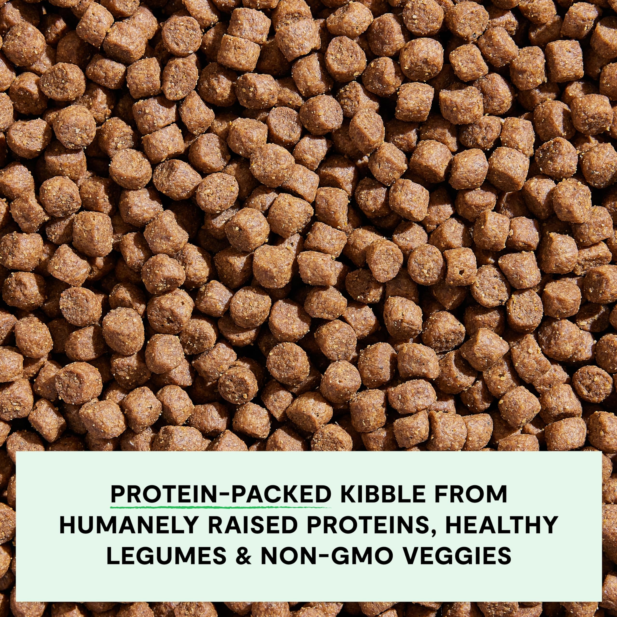 Open Farm puppy kibble close-up shows protein-packed bites with salmon and chicken.