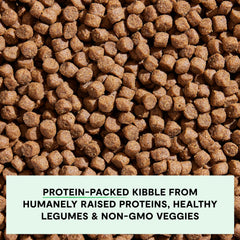 Open Farm puppy kibble close-up shows protein-packed bites with salmon and chicken.