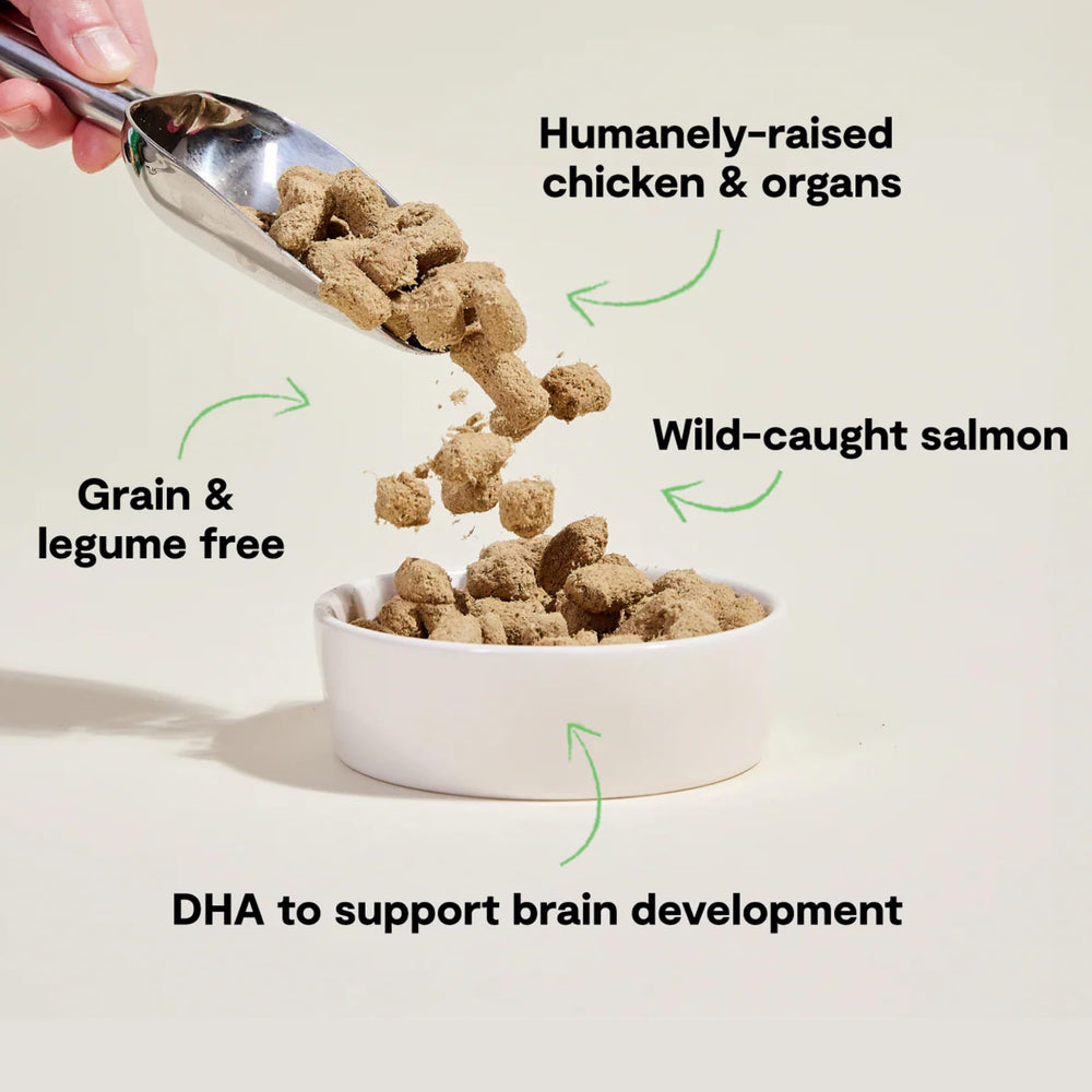 Open Farm puppy morsels close-up reveals protein-rich texture for development