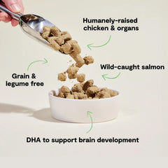 Open Farm puppy morsels close-up reveals protein-rich texture for development