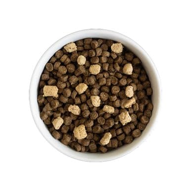Open Farm RawMix bone broth-coated kibble closeup signals tasty texture for picky eaters.