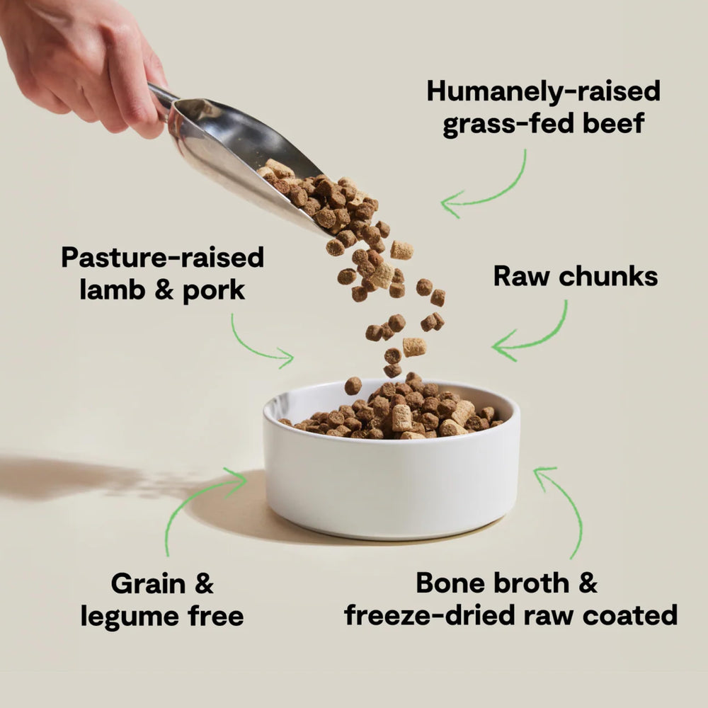 Open Farm RawMix Front Range bag pour into dish, showcasing bone broth coating.