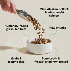 Open Farm RawMix protein-packed kibble in bowl, delivering energy for daily activity
