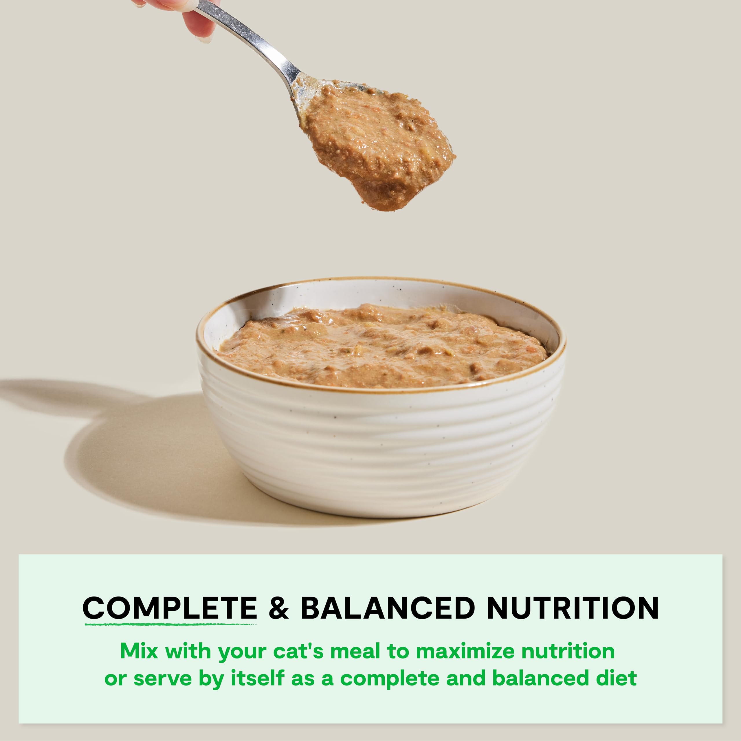 Open Farm Rustic Blend served in a bowl demonstrates savory gravy and moisture for hydration.