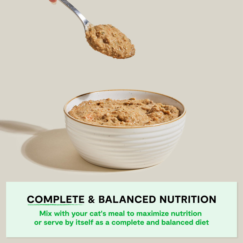 Open Farm Rustic Blend ingredient panel highlights human-grade ingredients and non-GMO veggies.