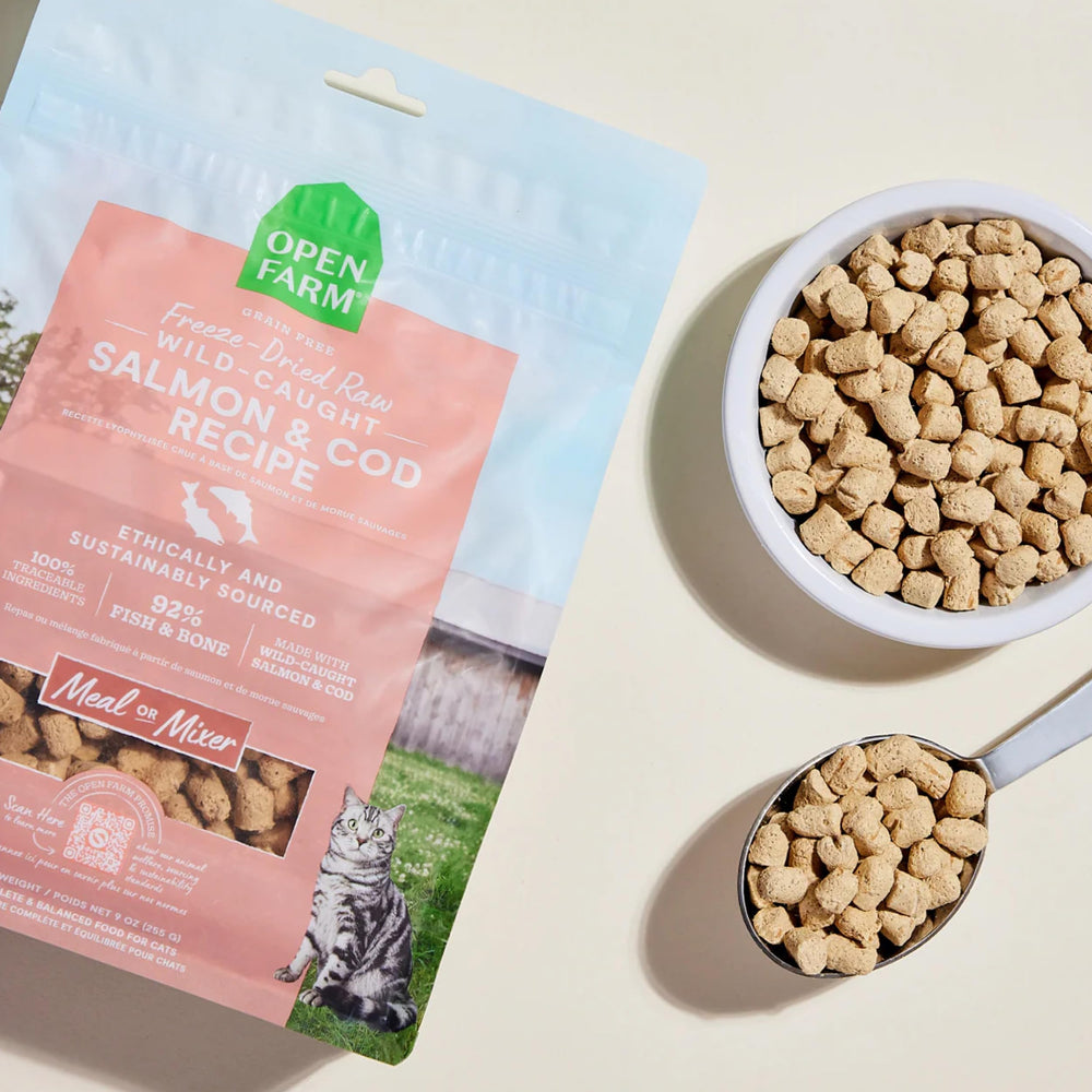 Open Farm Salmon & Cod morsels close-up shows chunky texture and quality