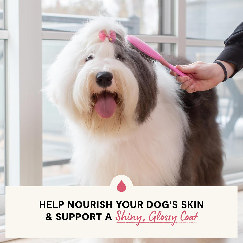 Open Farm salmon oil gloss on coat—Omega-3 support for shinier fur.