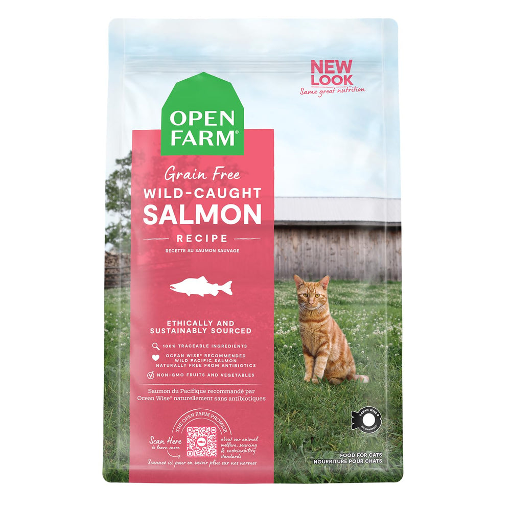 Open Farm Wild-Caught Salmon Dry Cat Food in a bowl, savory grain-free meal.