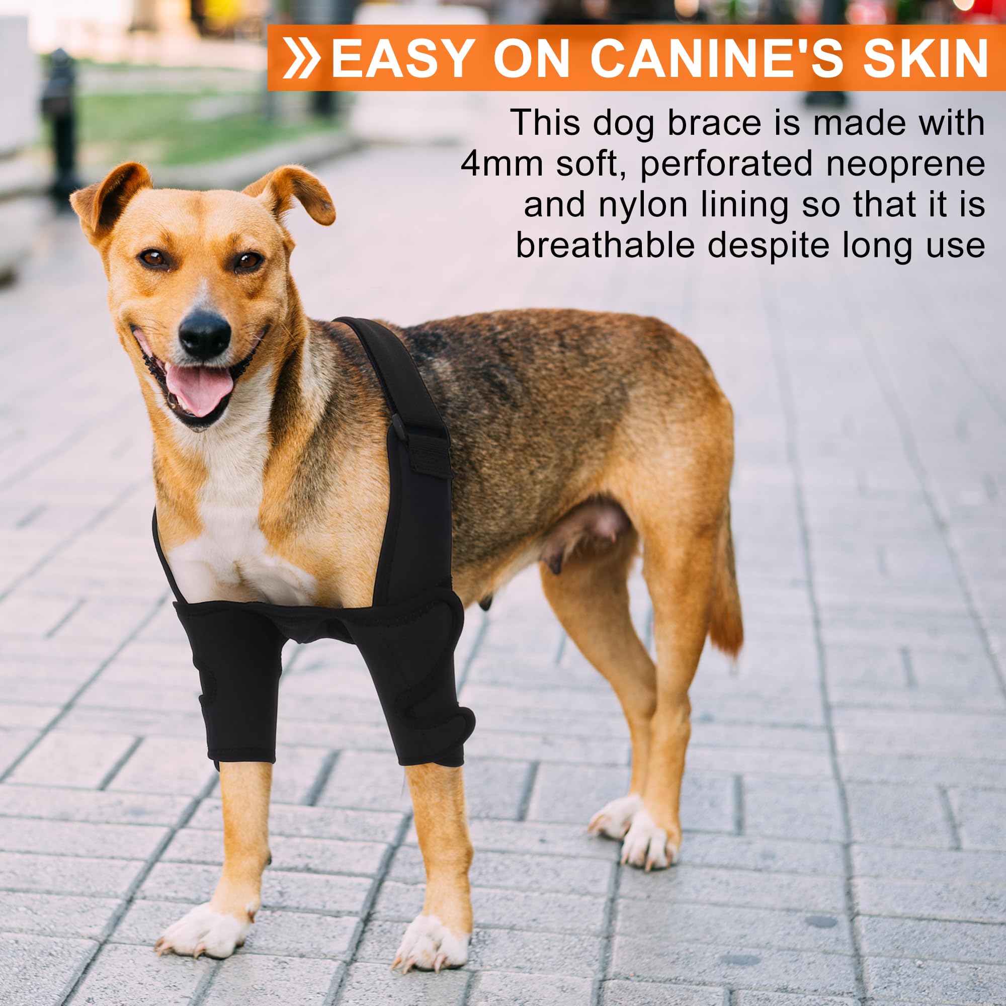 OPSELU adjustable buckle straps enable customized snug fit for diverse dog shapes.