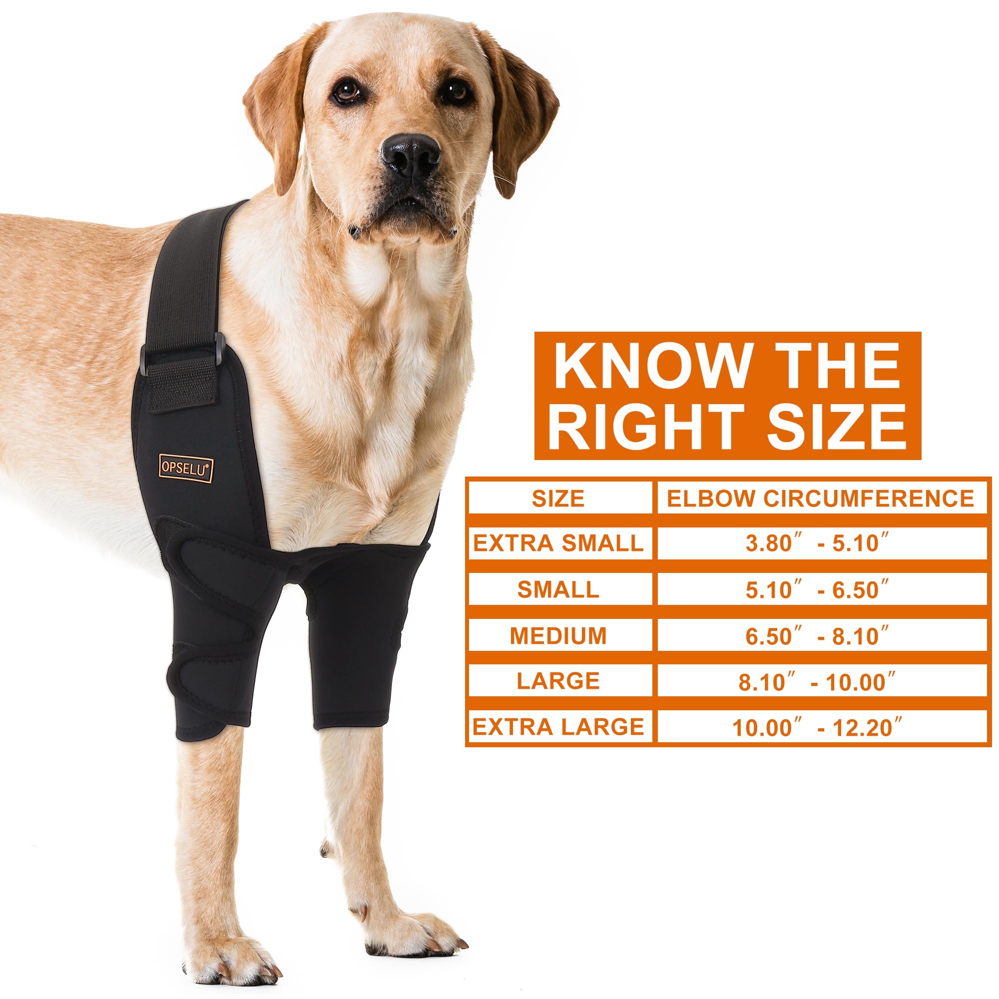 OPSELU front leg brace dog recovery demonstrates adjustable closure for secure all day wear.
