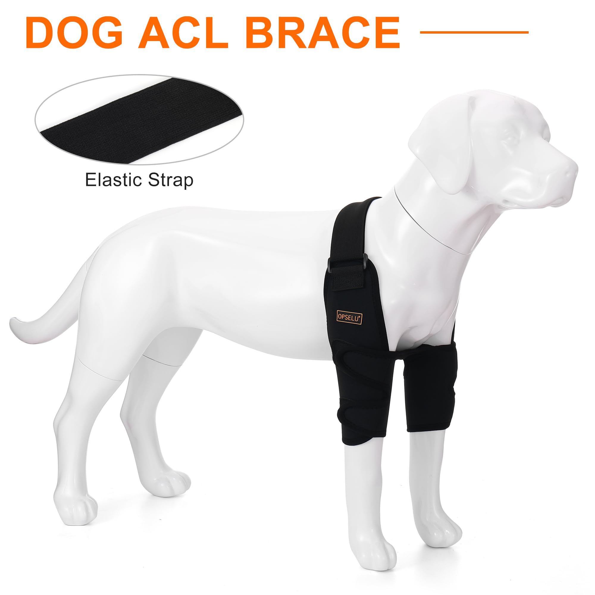 OPSELU machine washable dog brace makes cleanup quick after adventures.