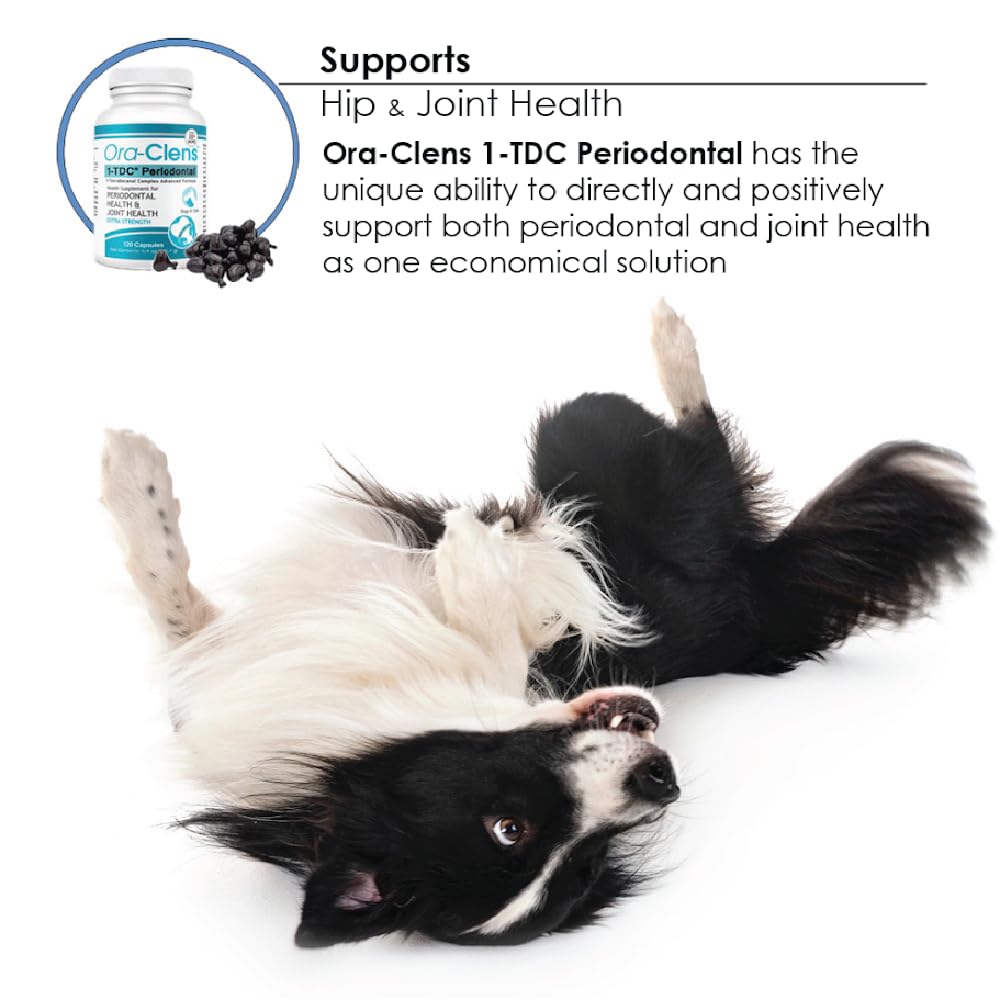 Ora-Clens bottle beside dog and cat illustration signaling versatile pet care