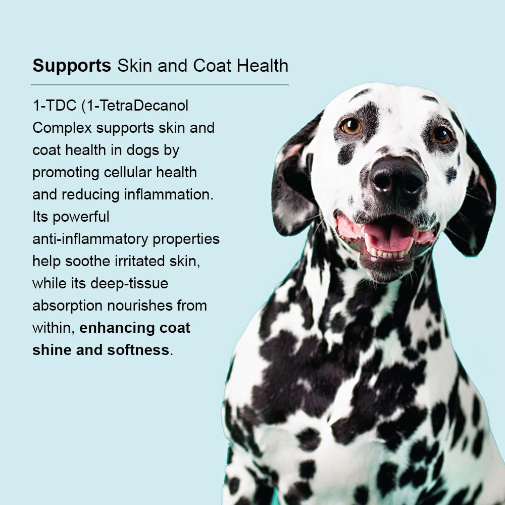 Softgels on plate beside dog bone, suggesting joint and oral health
