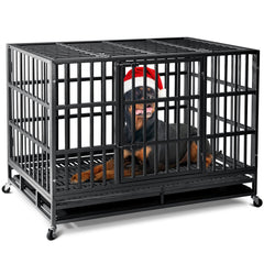 Oranland 48-inch heavy-duty crate assembly shows sturdy build for safe containment.