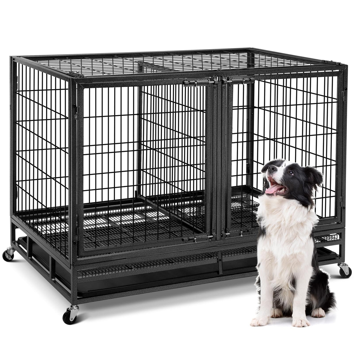 Oranland 48in wire dog crate front view highlights sturdy frame for secure, easy-to-clean housing