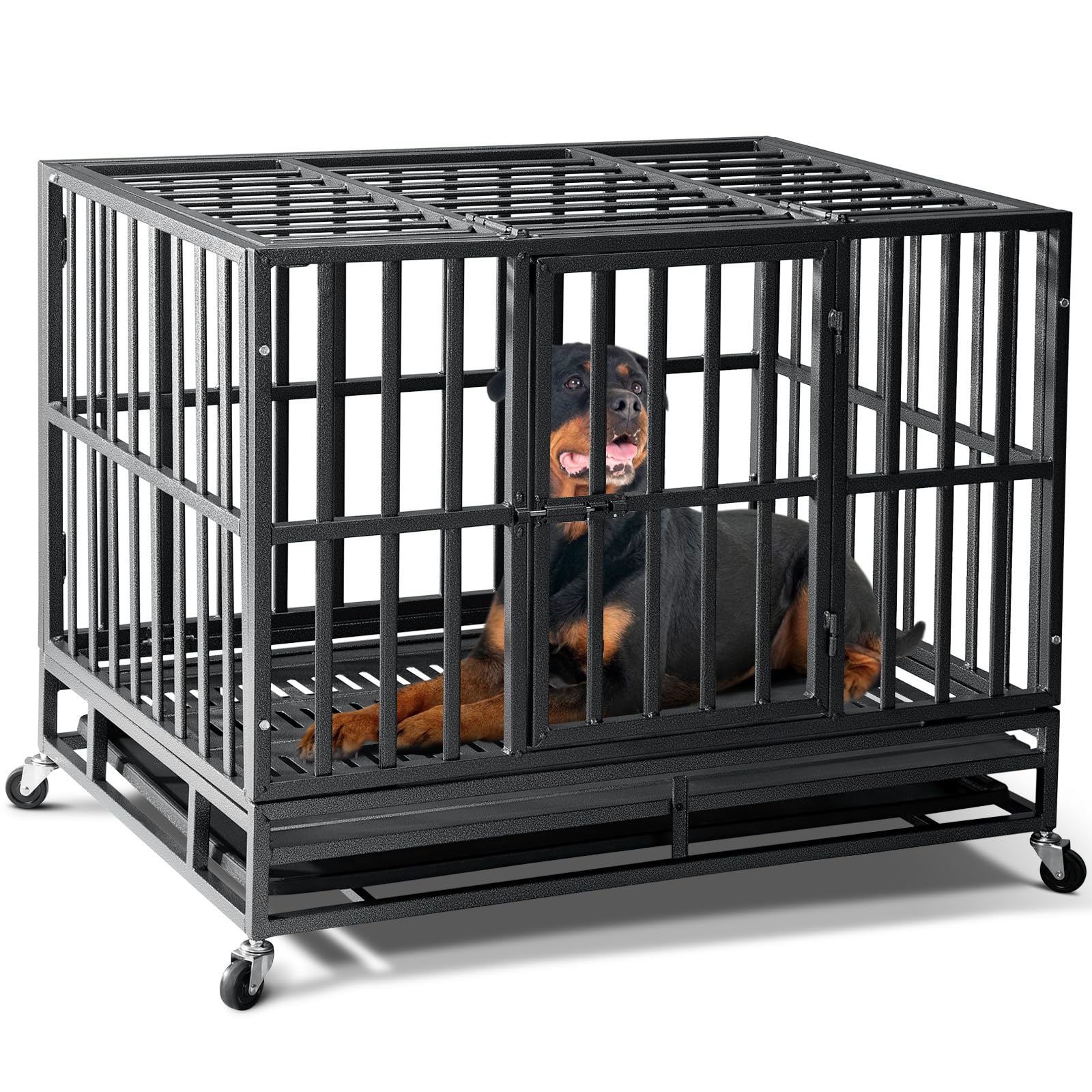 Oranland dog crate in use with bed illustrates secure cozy space