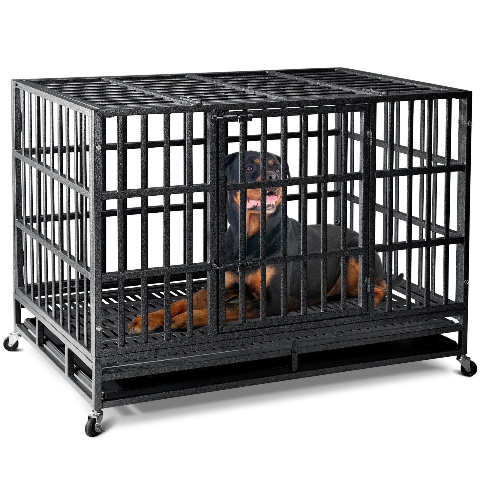 Oranland-easy-clean-interior simplifies maintenance for busy pet parents.