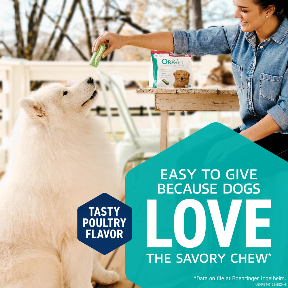 OraVet daily-dental-care routine with 30-count bag in view.