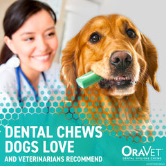 ORAVET dental chews blue pouch back highlighting contents and usage