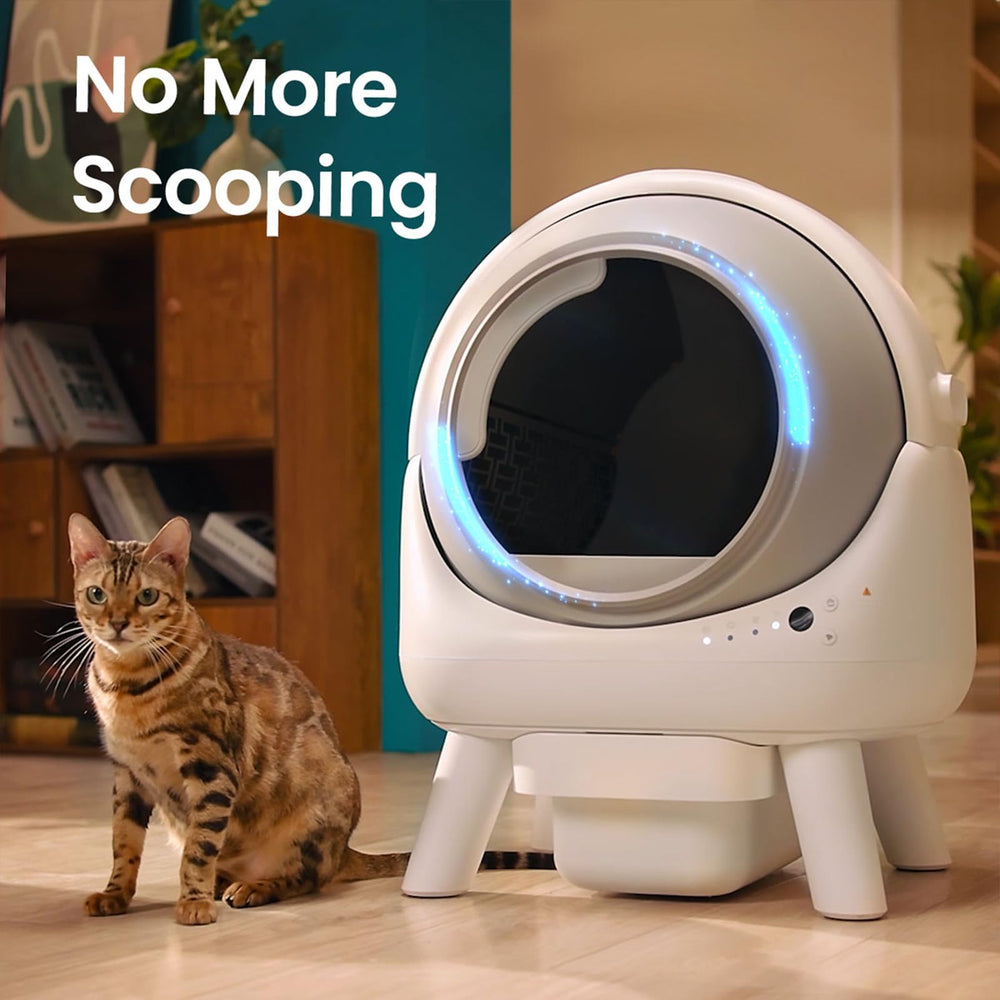 ELS PET Orbitie app control screen demonstrates remote monitoring and scheduling.