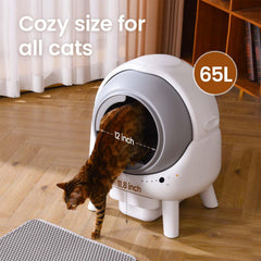 ELS PET Orbitie top view highlights sleek design and easy access for maintenance.