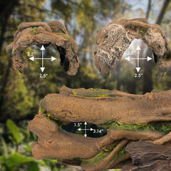 Orchid Valley hide log open ends provide versatile access for feeding and lounging.