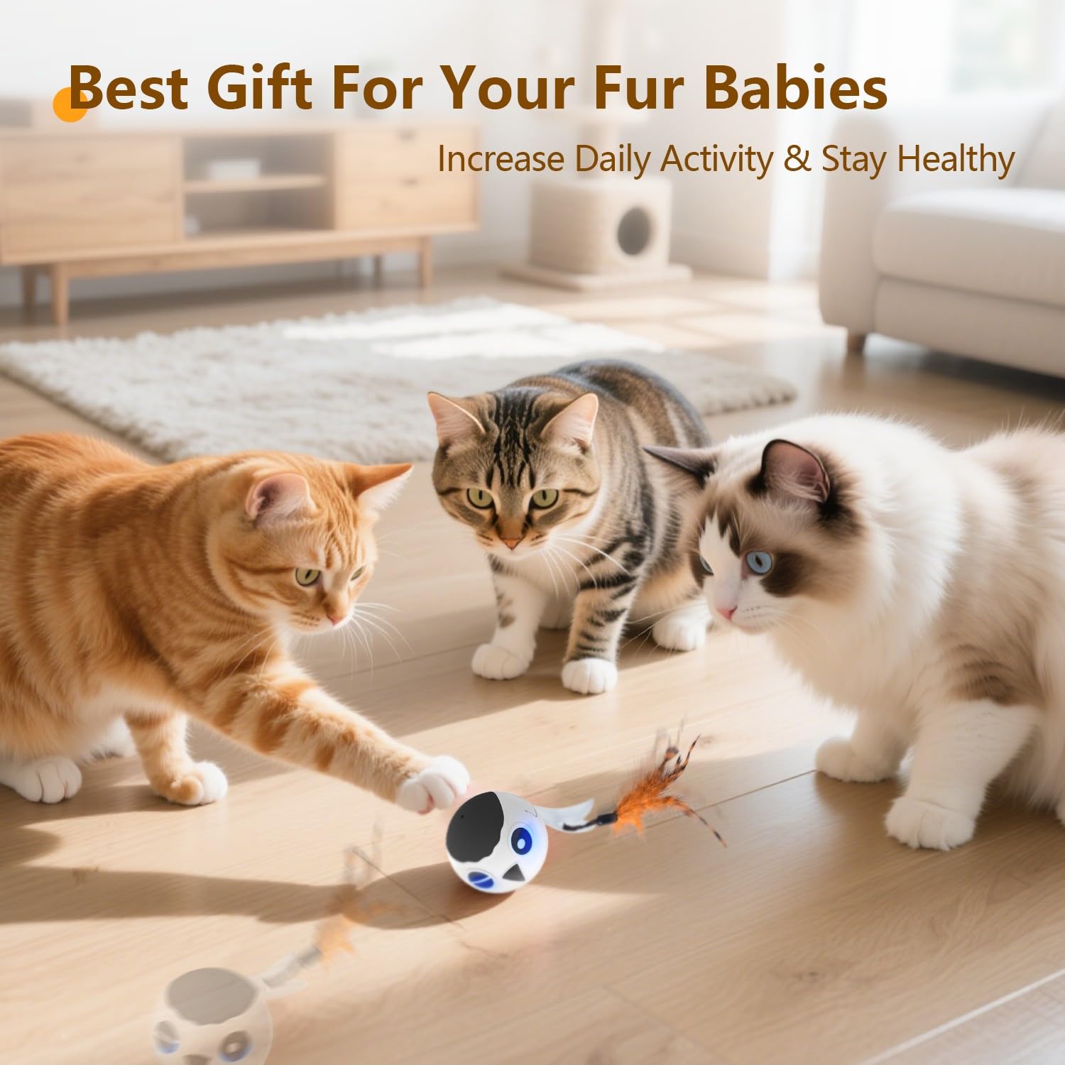 ORSDA juguete para interiores, ideal para gatos activos.