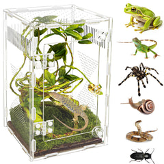 Orekemo acrylic jumping spider habitat front view showing crystal-clear panels for easy viewing