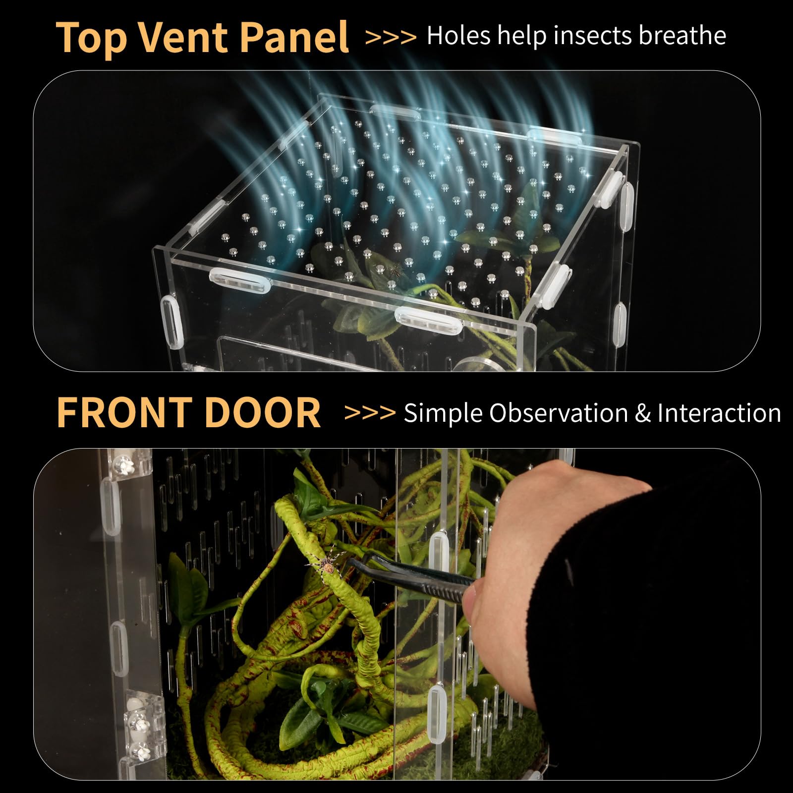 Orekemo terrarium door and twist-lock mechanism for secure access