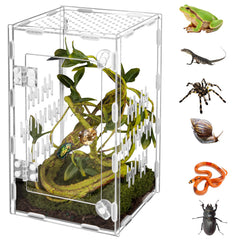 Orekemo acrylic terrarium front view for clear pet monitoring and observation