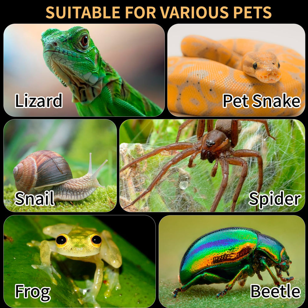 Orekemo acrylic reptile terrarium scratch-resistant walls stay pristine during setups.