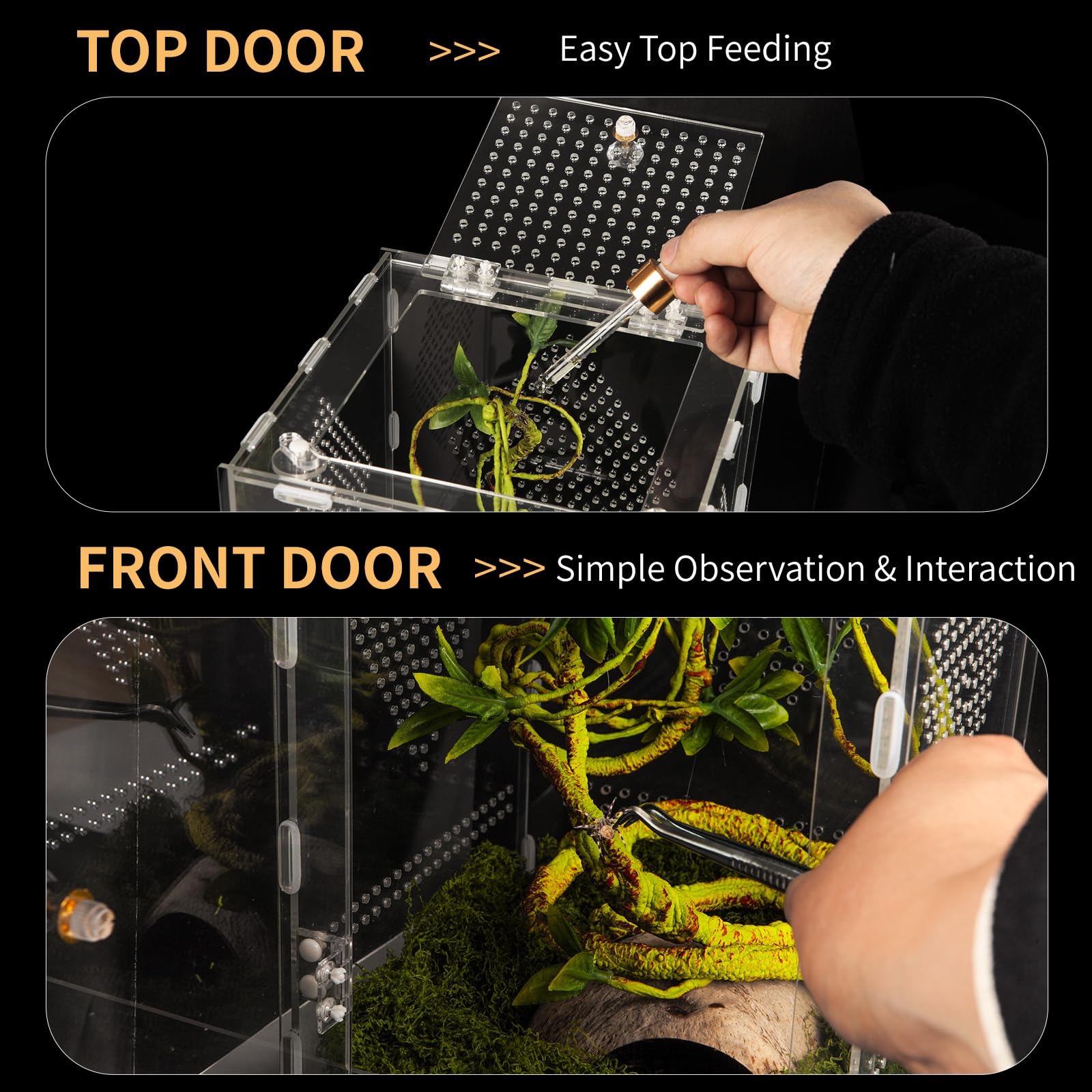Orekemo acrylic reptile terrarium secure ventilation with twist-lock door.