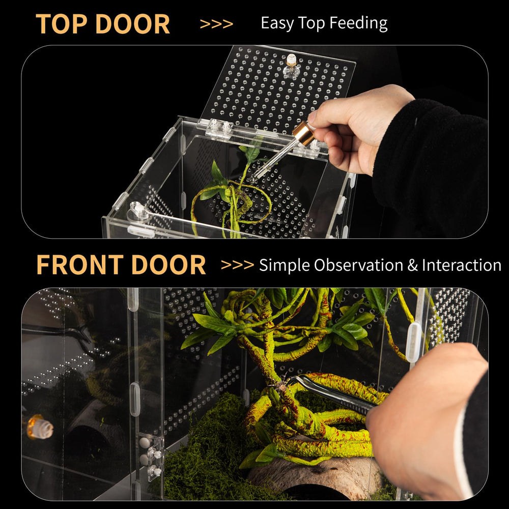 Orekemo acrylic reptile terrarium secure ventilation with twist-lock door.
