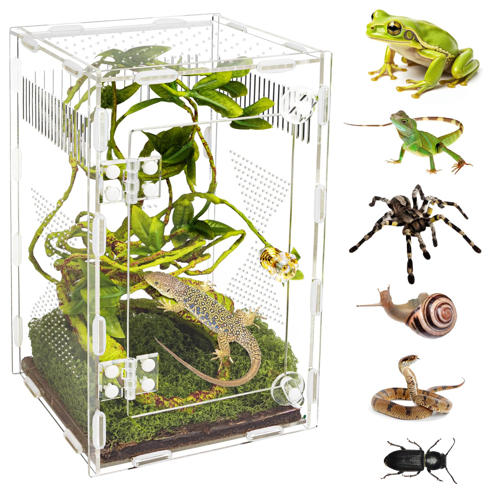 Orekemo acrylic terrarium care and cleaning-friendly design