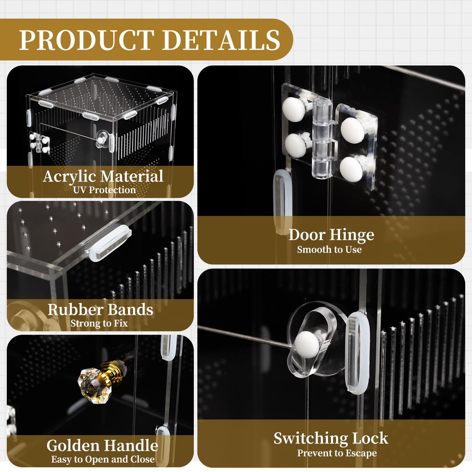 Orekemo terrarium twist-lock door closeup showing secure access