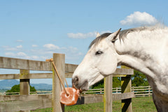 Organo Himalaya four-pack salt lick for livestock provides natural mineral-rich nourishment.