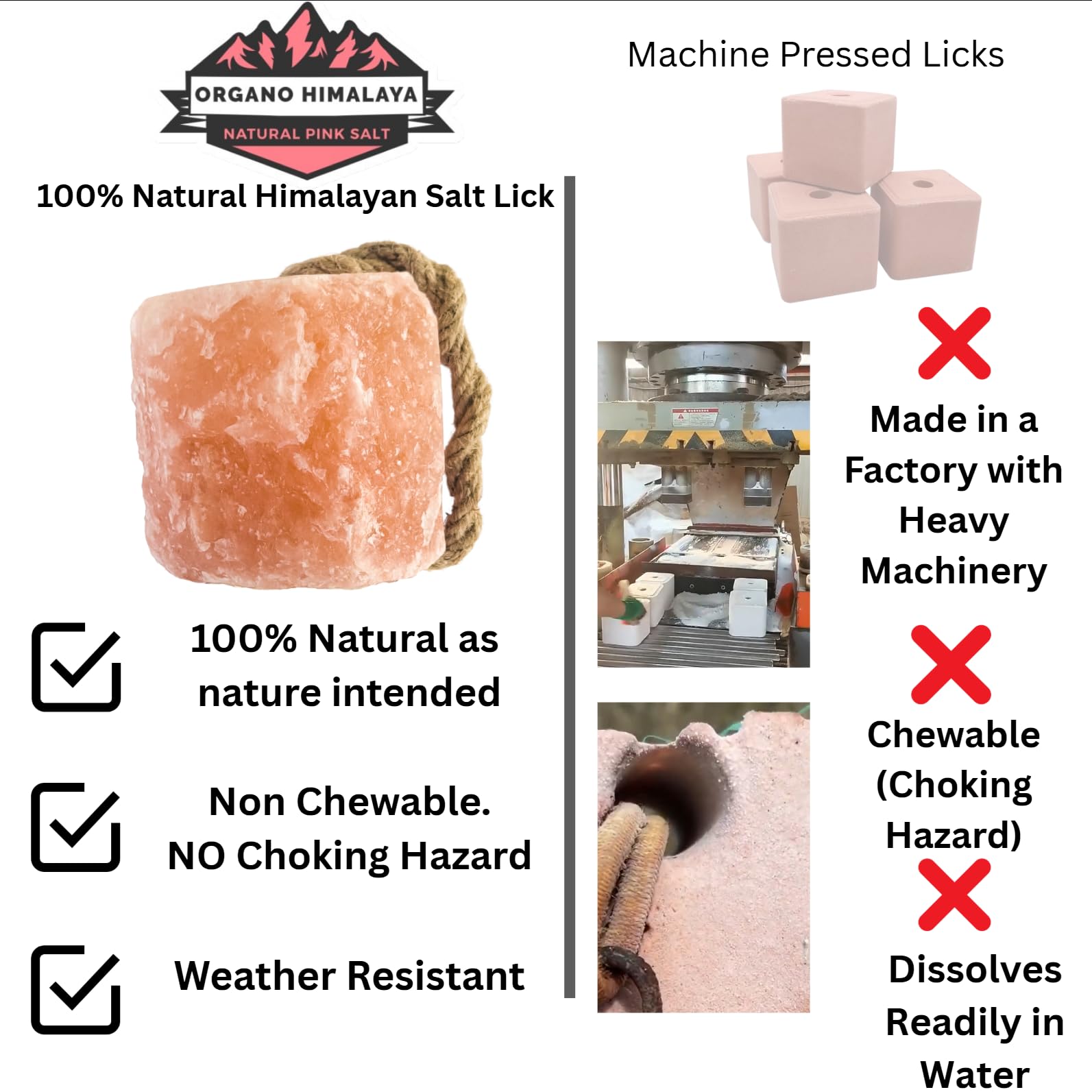 Organo Himalaya salt lick for deer attracts wildlife with minerals