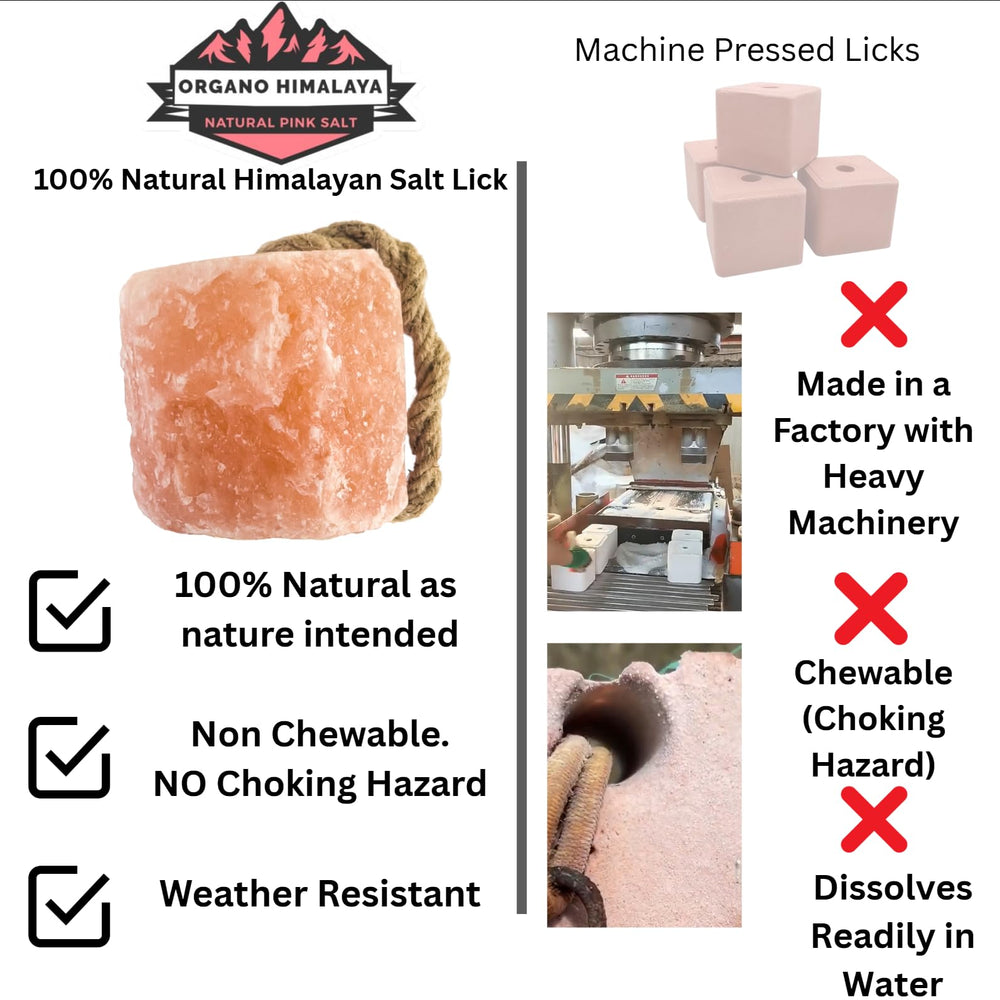 Organo Himalaya salt lick for deer attracts wildlife with minerals
